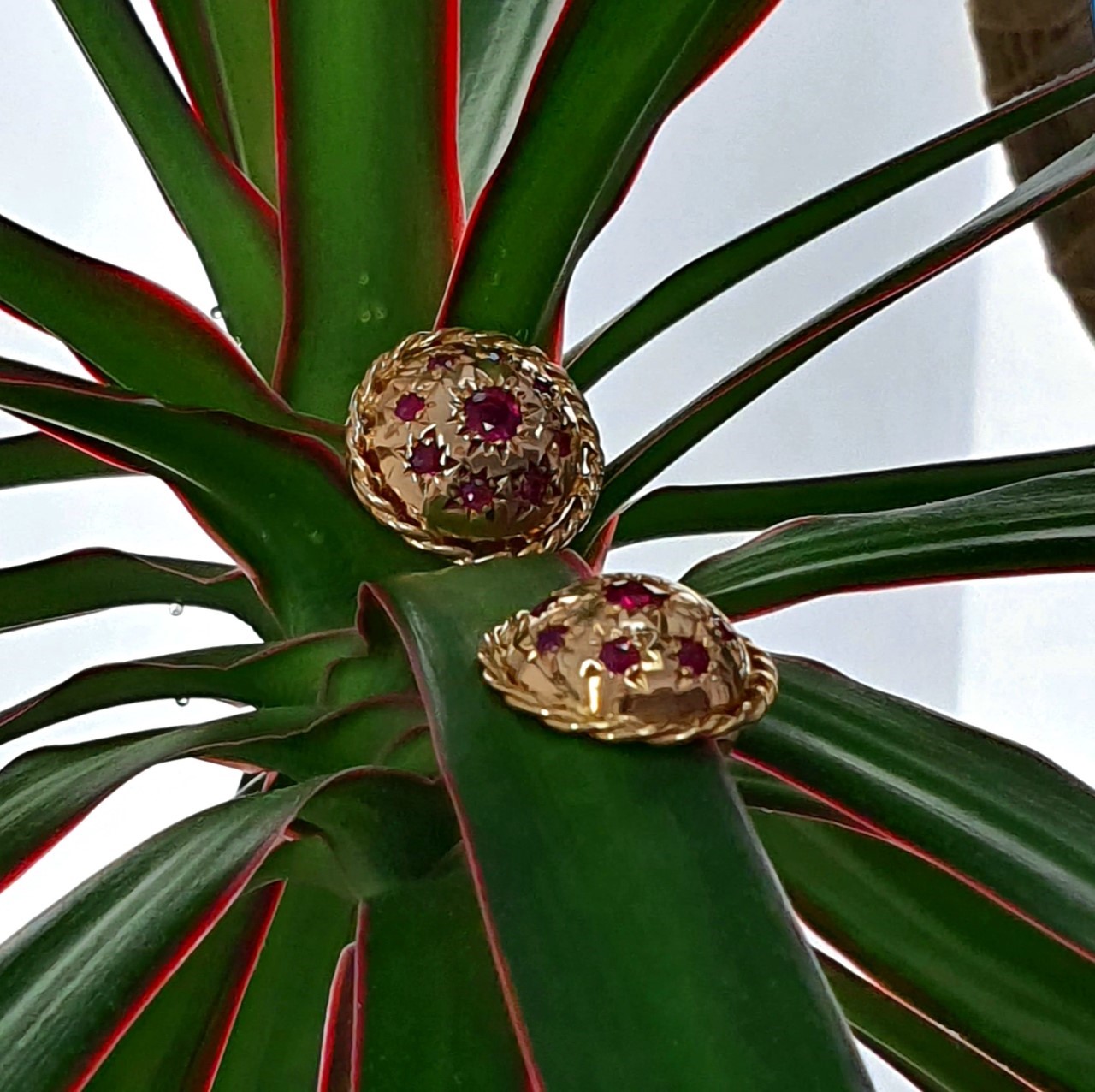 Gold-Ruby-Clip-on-Earrings-CE00002