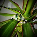 Ring resting on plant leaves with natural light enhancing the sapphire’s colour.