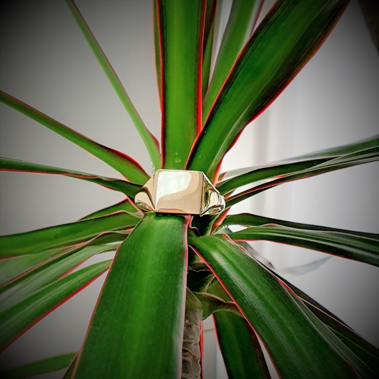 Square-Gold-Signet-Ring-RG00047