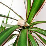 Square-Gold-Signet-Ring-RG00047