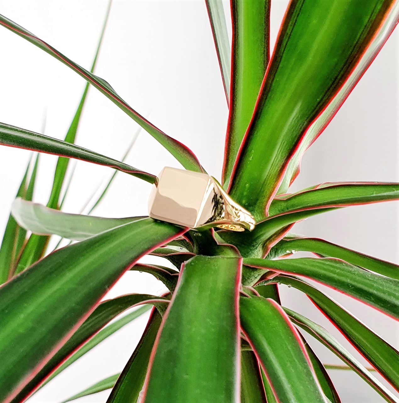 Square-Gold-Signet-Ring-RG00047