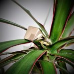Square-Gold-Signet-Ring-RG00047