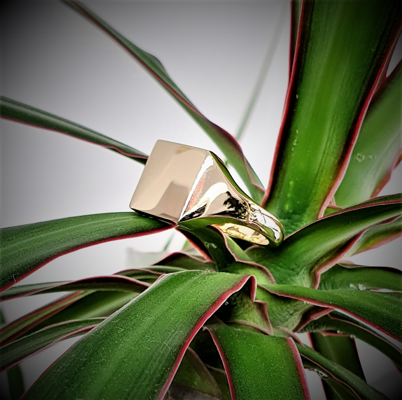 Square-Gold-Signet-Ring-RG00047