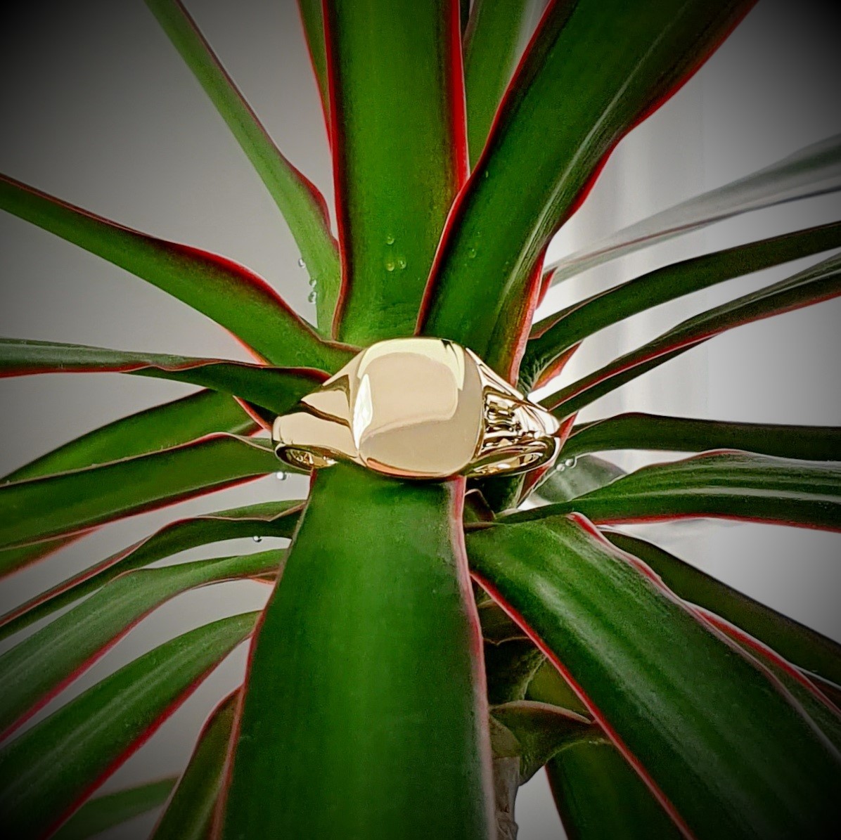 Cushion-Shape-Signet-Ring-RG00048