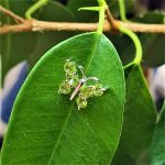 18ct-White-Gold-Green-Peridot-Butterfly-Necklace-PCA00409