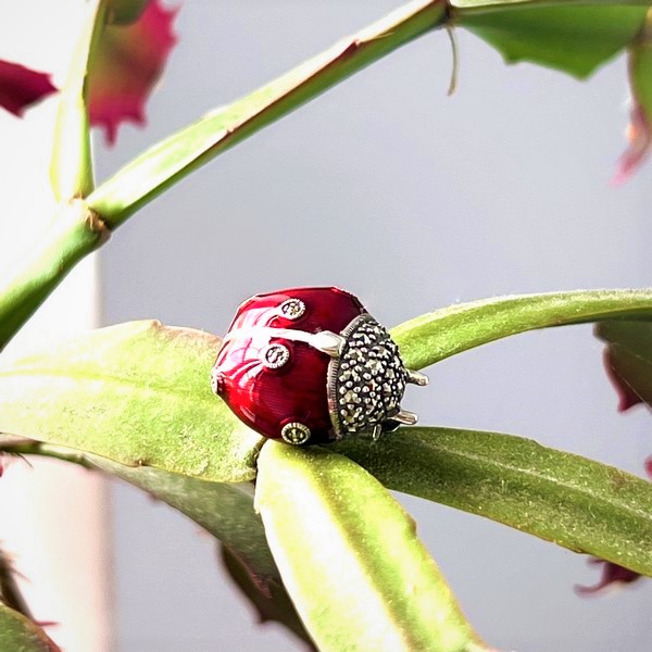 Marcasite-&-Red-Enamelled-Sterling-Silver-Lady-Bird-Brooch-BRS00091