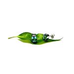 9ct-White-Gold-8mm-x-6mm-Oval-Blue-Topaz-Stud-Earrings-ES00318