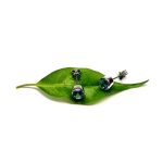9ct-White-Gold-8mm-x-6mm-Oval-Blue-Topaz-Stud-Earrings-ES00318