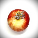 Brooch pictured sitting on an apple.