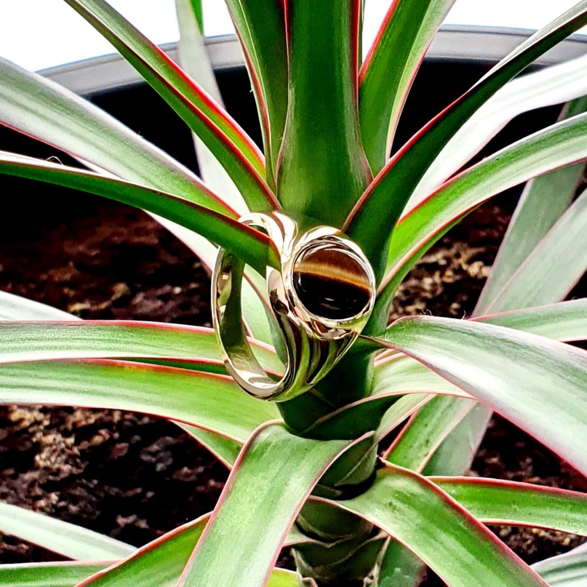 Heavy 9ct yellow gold 12mm x 10mm oval Tigers Eye signet ring