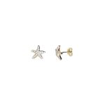 9ct yellow gold starfish stud earrings set with seventeen cubic zirconia's to each stud ES00790 10mm.