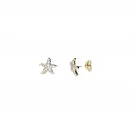 9ct yellow gold starfish stud earrings set with seventeen cubic zirconia's to each stud ES00790 10mm.