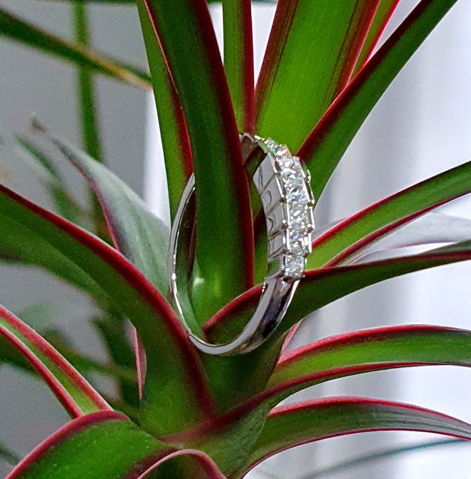 Nature’s Grace: Set on a plant, the ring's intricate craftsmanship harmonizes perfectly with the organic beauty of nature, showcasing its timeless appeal.