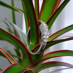 Nature’s Grace: Set on a plant, the ring's intricate craftsmanship harmonizes perfectly with the organic beauty of nature, showcasing its timeless appeal.