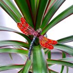 Red dragonfly brooch silver BRS00096- crafted in genuine sterling silver with marcasite eyes inlaid with red, purple & green piqué-a-jour enamel. Pictured perched on a leaf.