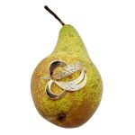 9ct yellow gold abstract leaf Brooch with a contrasting polished & tree bark texture front view pictured on a pear.