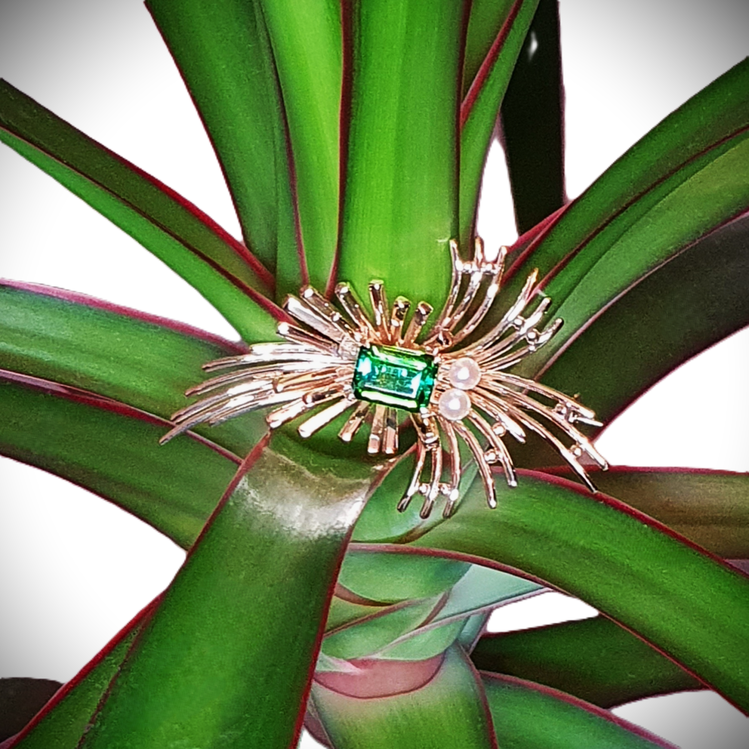 An emerald-cut green stone brooch with two delicate pearls set in a starburst design photographed on a plant.
