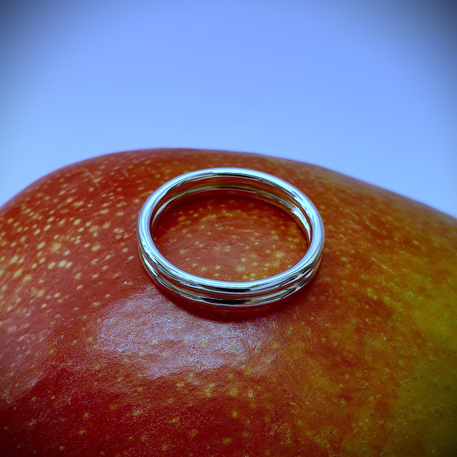 Wedding ring positioned on a mango with vibrant blue backdrop — the ring’s polished surface gleams against the mango’s golden skin, set against a bright blue background for bold, tropical contrast.