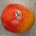 Yellow and white gold brooch with diamonds and rubies pictured on a mango.