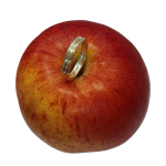 Close-up of a gold wedding ring resting on an apple — the Sun & Snow ring curves around the apple’s surface, emphasizing its parallel dual-gold profile against the apple’s natural red-green skin.