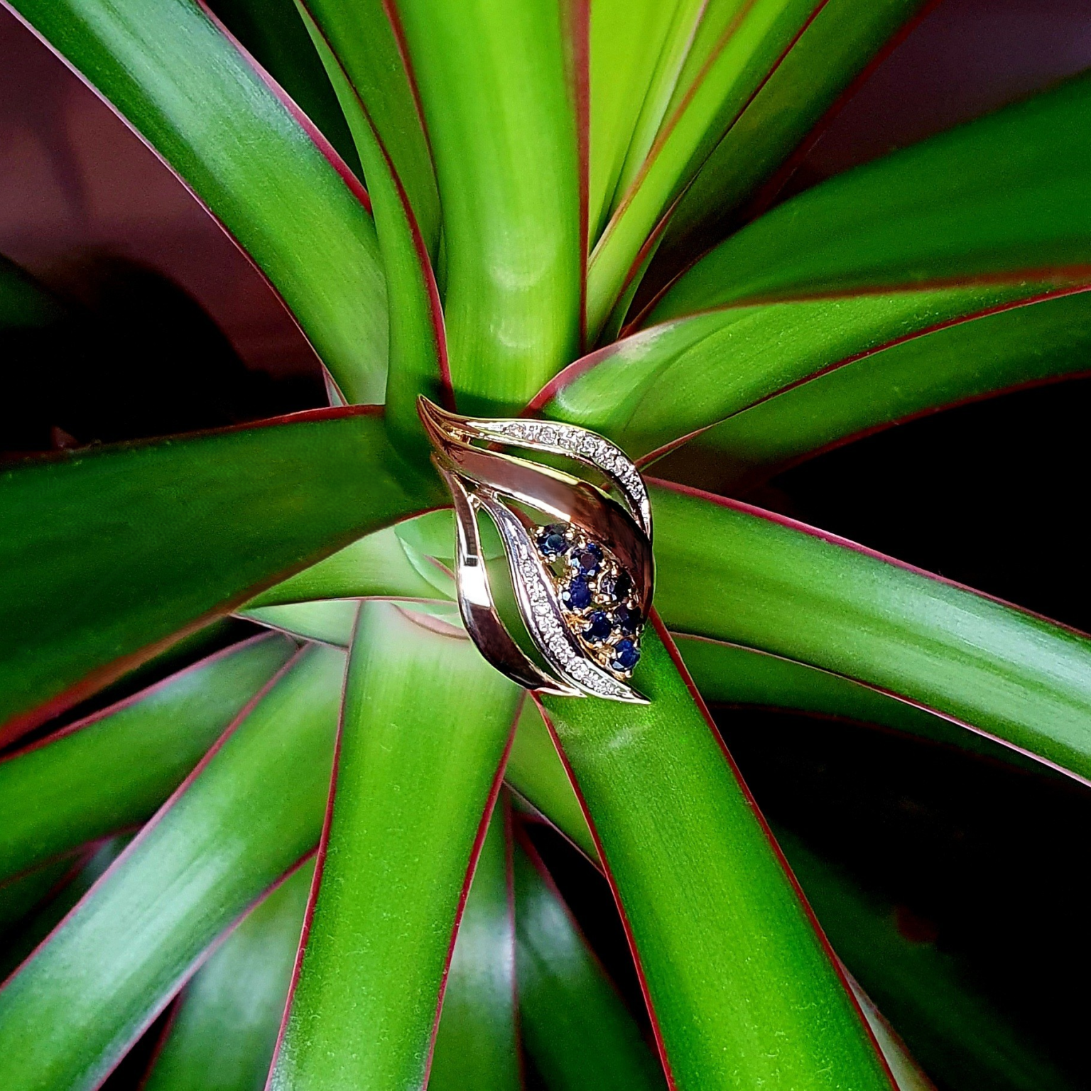 Sapphire and diamond brooch in 9ct gold, elegantly displayed on a leaf.