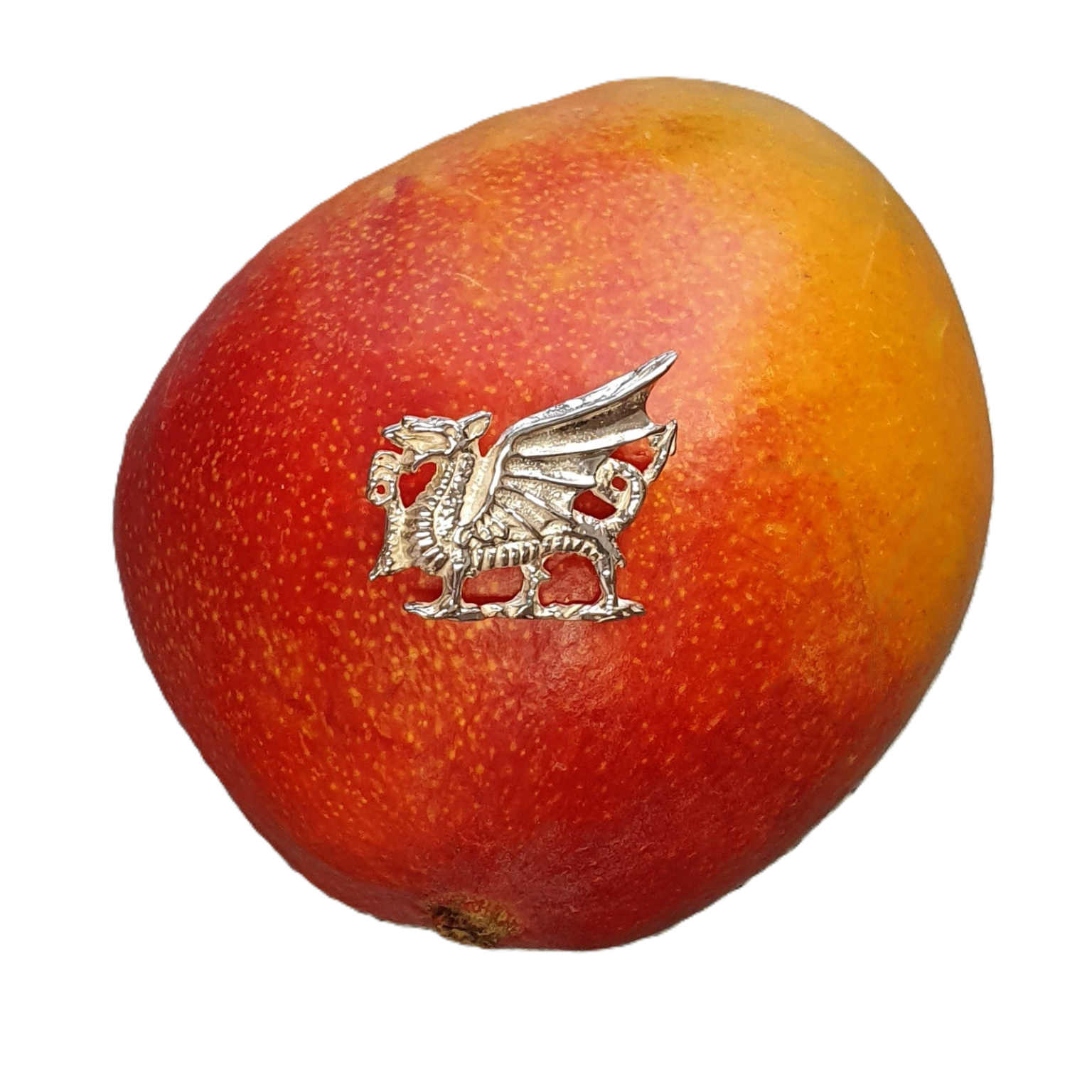 This meticulously designed dragon brooch captures Welsh heritage, offering a blend of elegance and tradition. Pictured on a mango.