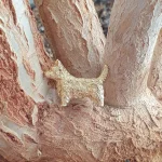 Terrier dog brooch pin pictured on a plant.