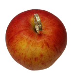 Ring displayed on an apple with soft natural lighting — a 9ct yellow and white gold wedding band gently perched on an apple, highlighting the contrast between warm metal tones and fresh fruit texture.