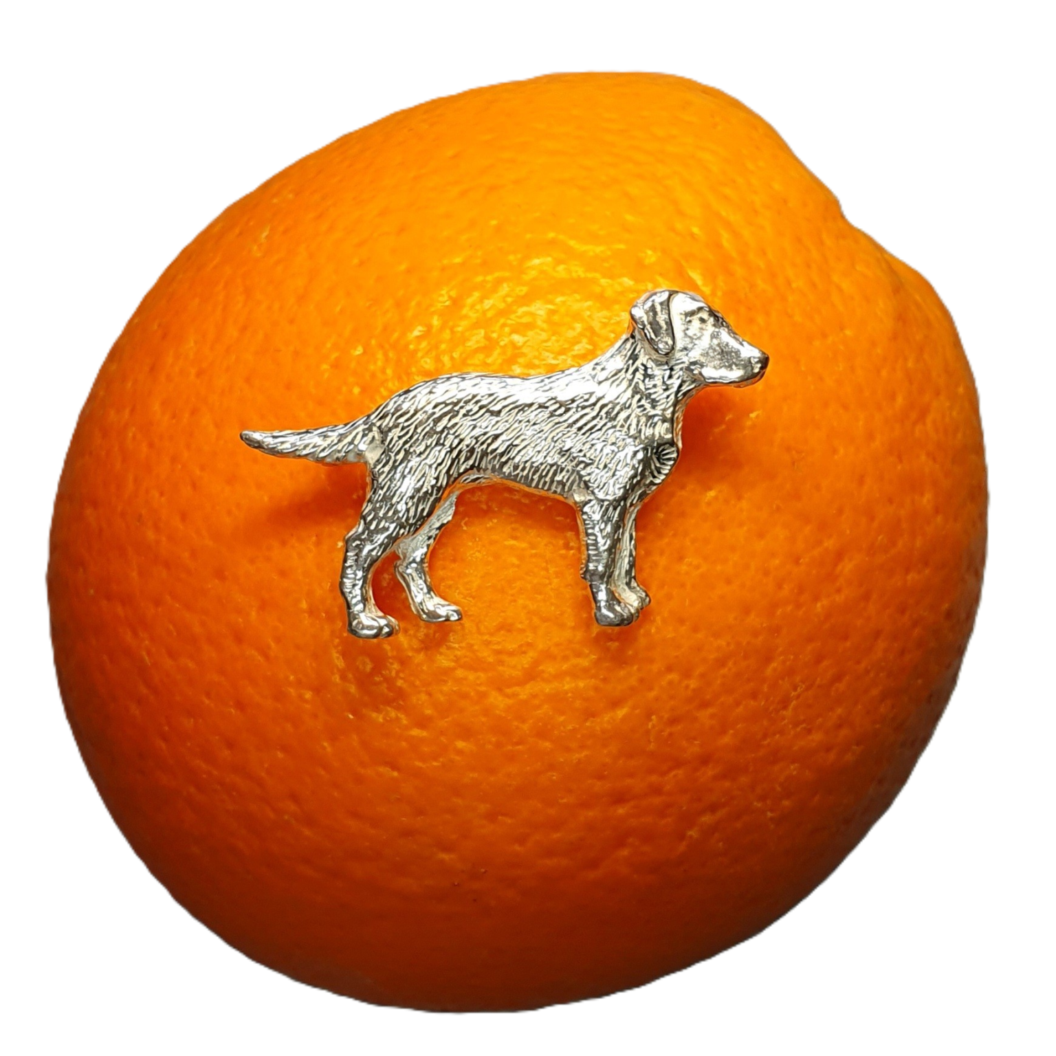 Real Silver Labrador dog brooch pictured on an orange for contrast.