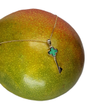 Right-facing on mango Angled to the right atop a mango, the necklace’s golden edges glisten in natural light, set against the organic texture and deep colour of the fruit.