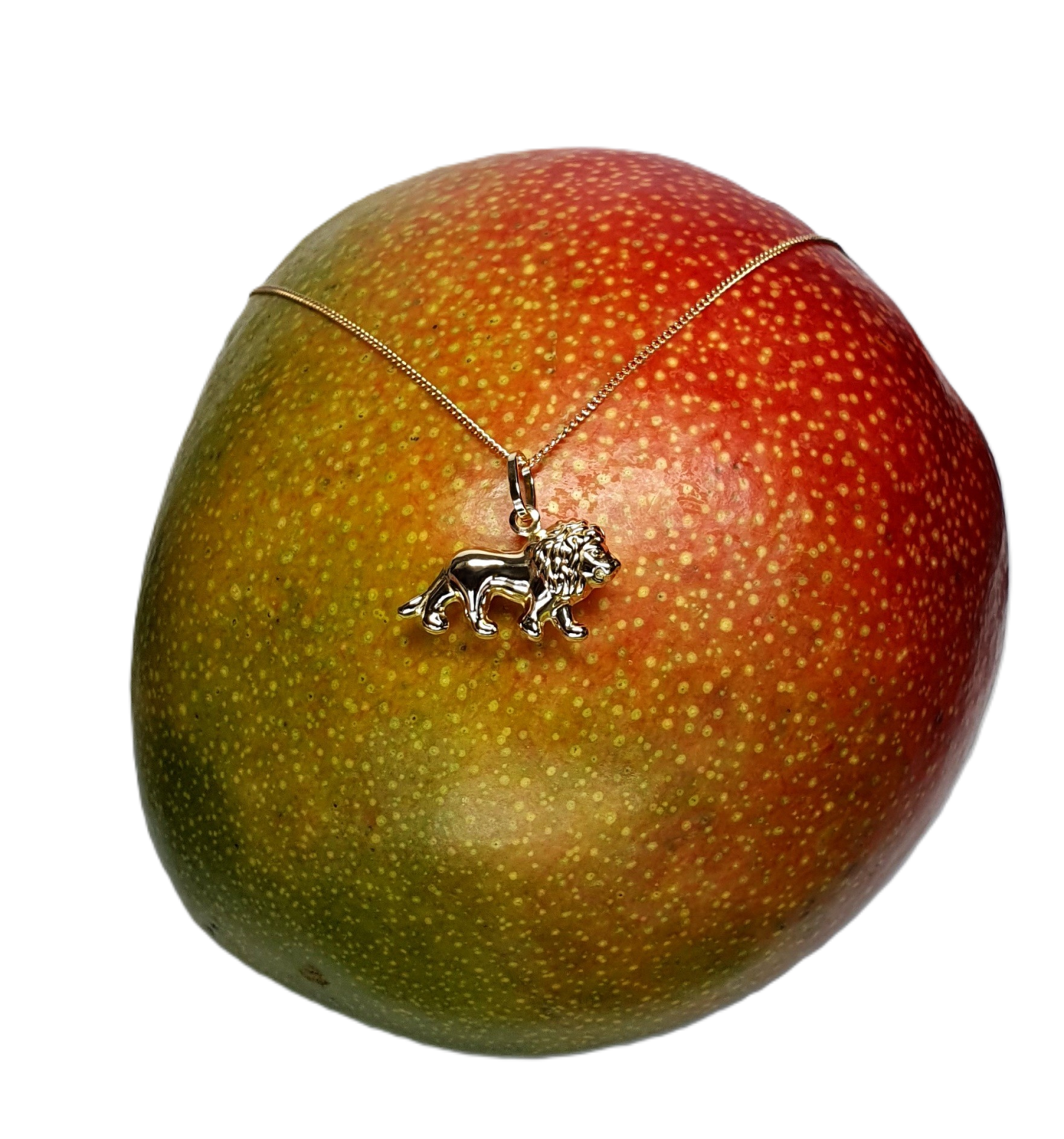 Puffed hollow three-dimensional 9ct yellow gold Lion Pendant and chain pictured on a Mango facing right.