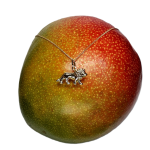 Puffed hollow three-dimensional 9ct yellow gold Lion Pendant and chain pictured on a Mango facing right.