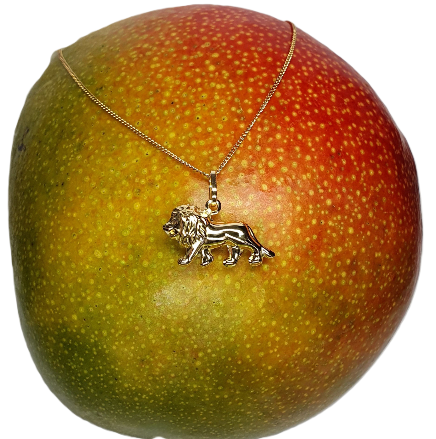Puffed hollow three-dimensional 9ct yellow gold Lion Pendant and chain pictured on a Mango facing left.