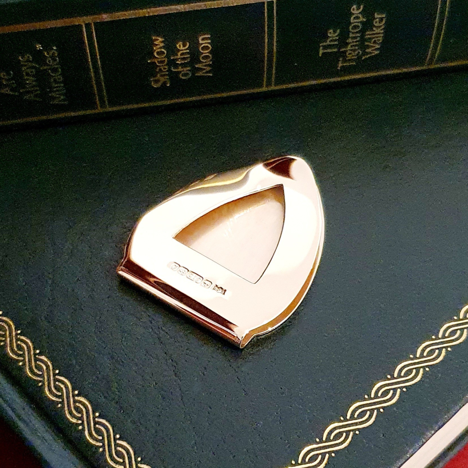 Genuine vintage gold money clip picture of the back on books