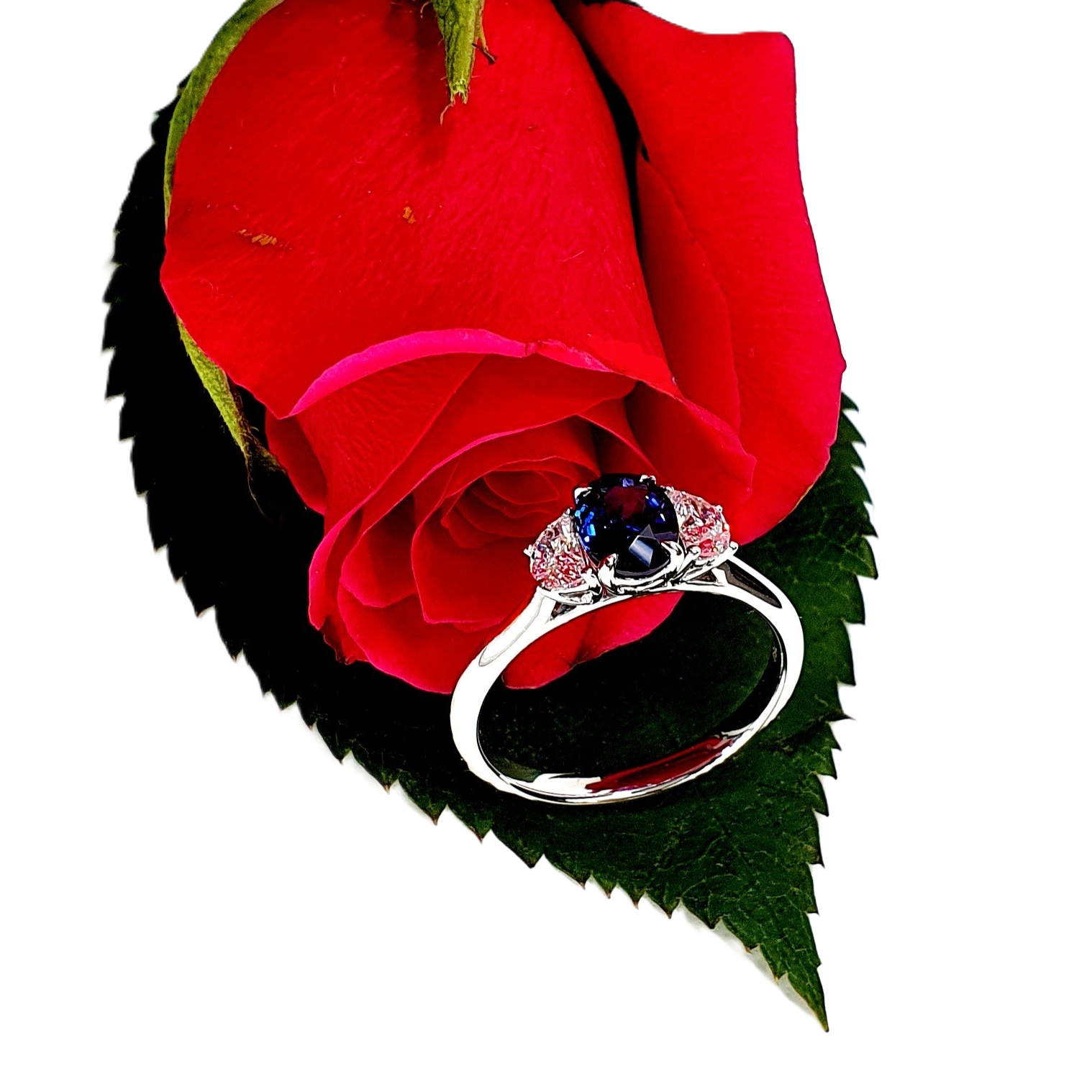 Oval sapphire & half moon diamonds three stone ring pictured on a rose.