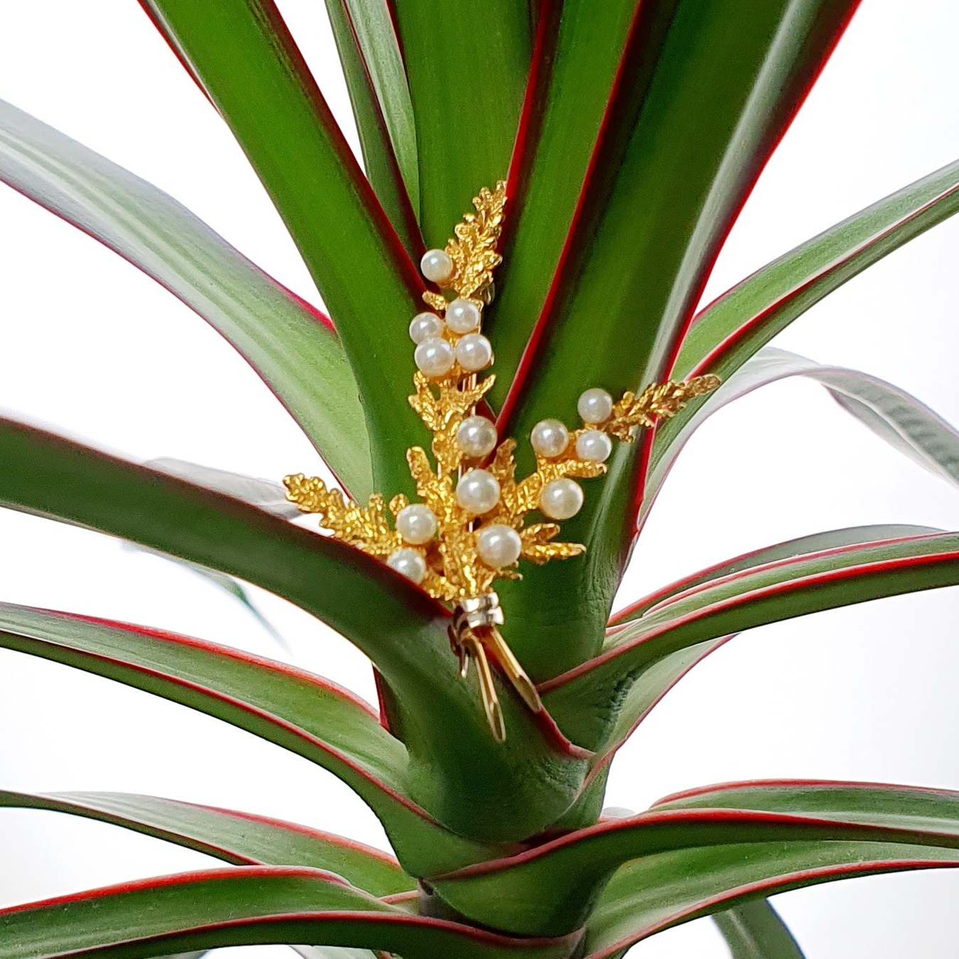 Leaf sprig brooch pin with fourteen pearls pictured on a plant.