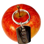 A rectangular keyring fob in sterling silver with a prominent hallmark on one side is pictured hanging from an apple.