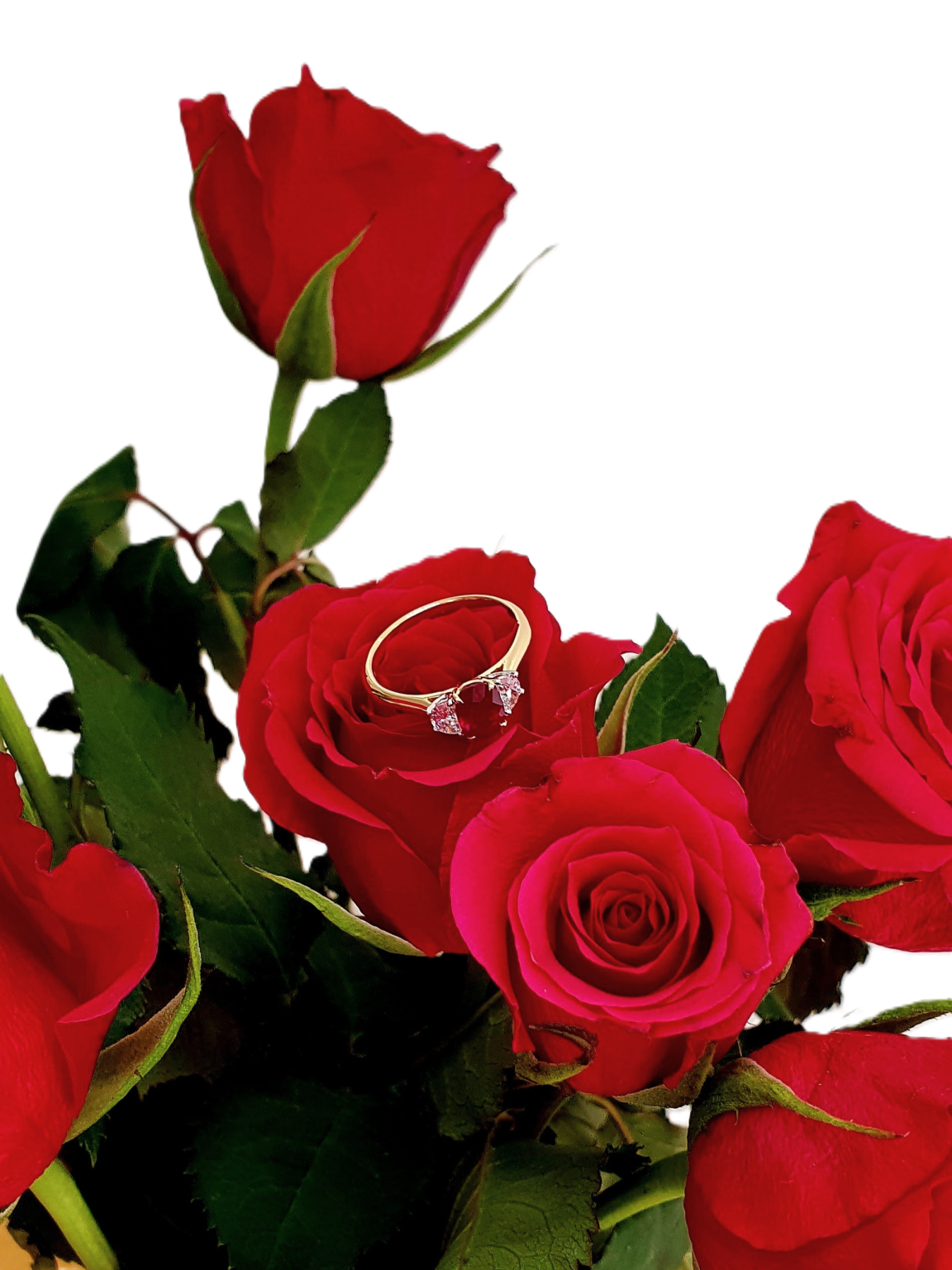 18ct yellow gold three-stone ring with one oval ruby and two half-moon diamonds set in 18ct white gold, one on each side, pictured on a bunch of roses RA00698.