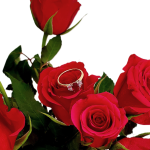 18ct yellow gold three-stone ring with one oval ruby and two half-moon diamonds set in 18ct white gold, one on each side, pictured on a bunch of roses RA00698.