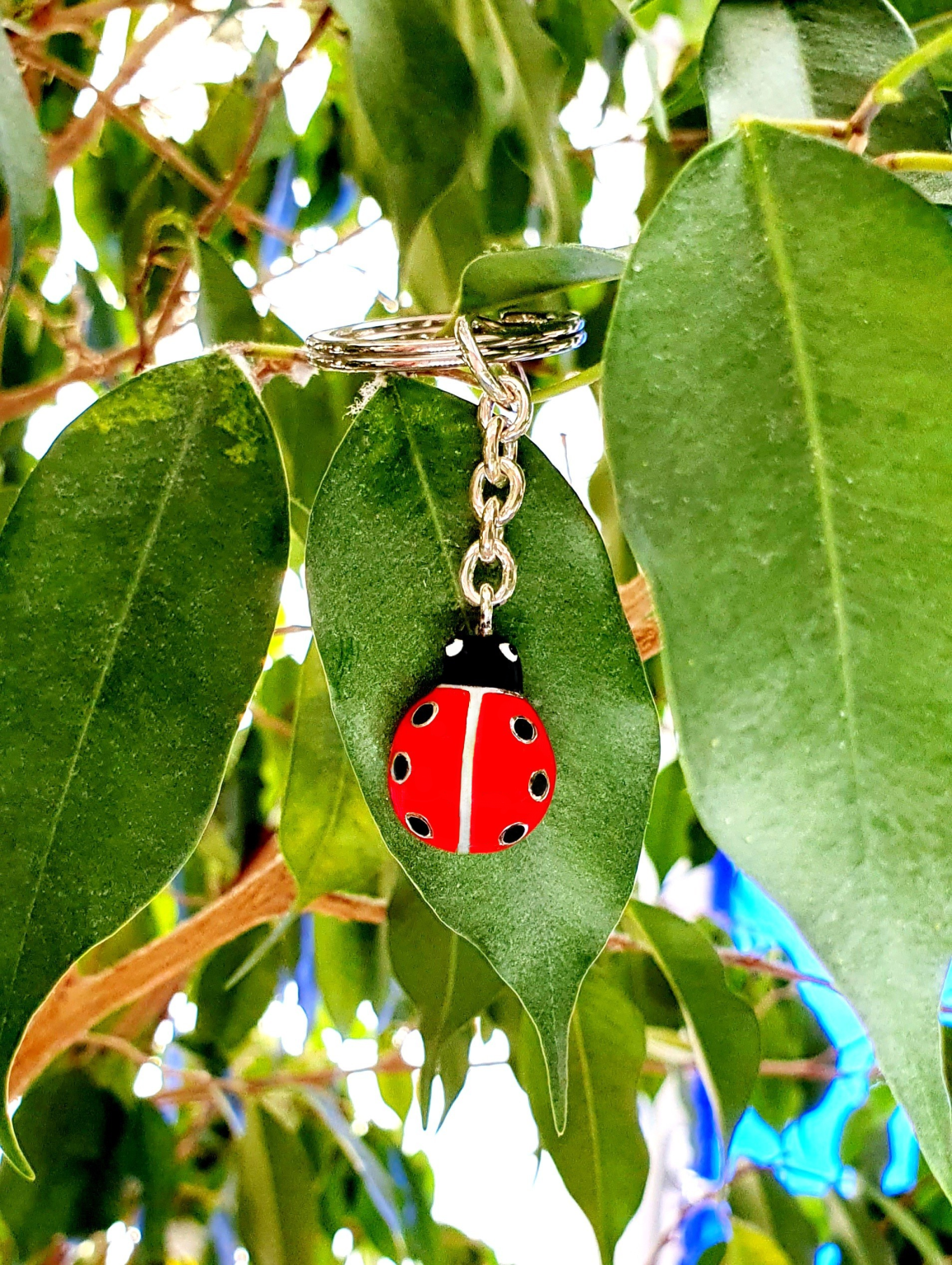 Red and black enamelled ladybird keyring pictured on a plant.