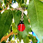 Red and black enamelled ladybird keyring pictured on a plant.