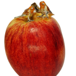 Italian-made hallmarked silver enamelled Robin Redbreast cufflinks CK00331.