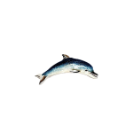 Lifelike enamelled Dolphin brooch made in Italy in genuine hallmarked silver. Pictured in the gift box.