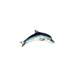 Lifelike enamelled Dolphin brooch made in Italy in genuine hallmarked silver. Pictured in the gift box.