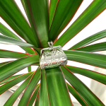 Sterling silver handbag pill box balanced on green leafy plant, blending organic texture with luxury miniature design.