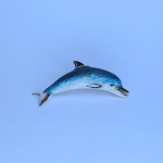 Lifelike enamelled Dolphin brooch made in Italy in genuine hallmarked silver. Pictured on a blue background.