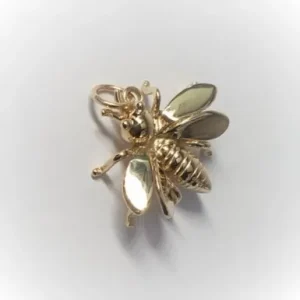 1stangleywasp.jpg