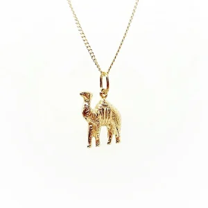 CM00266-CAMEL.jpg
