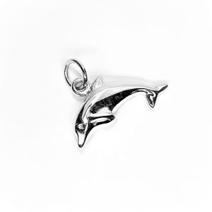 CM00279-DOLPHIN-W.jpg