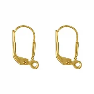 Ear wiresLeaver back